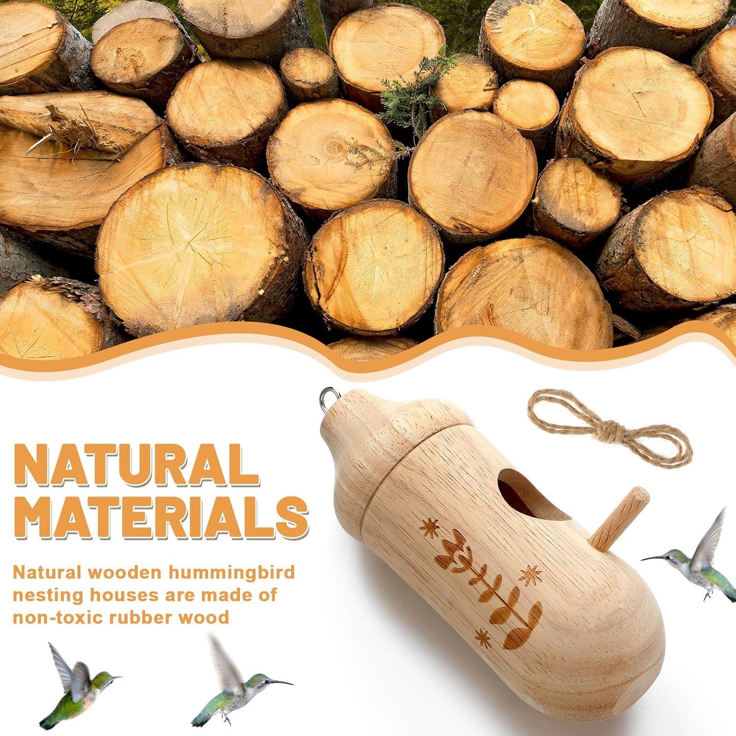 Kit de 12 casas para colibríes Briwooody con pinturas y pinceles