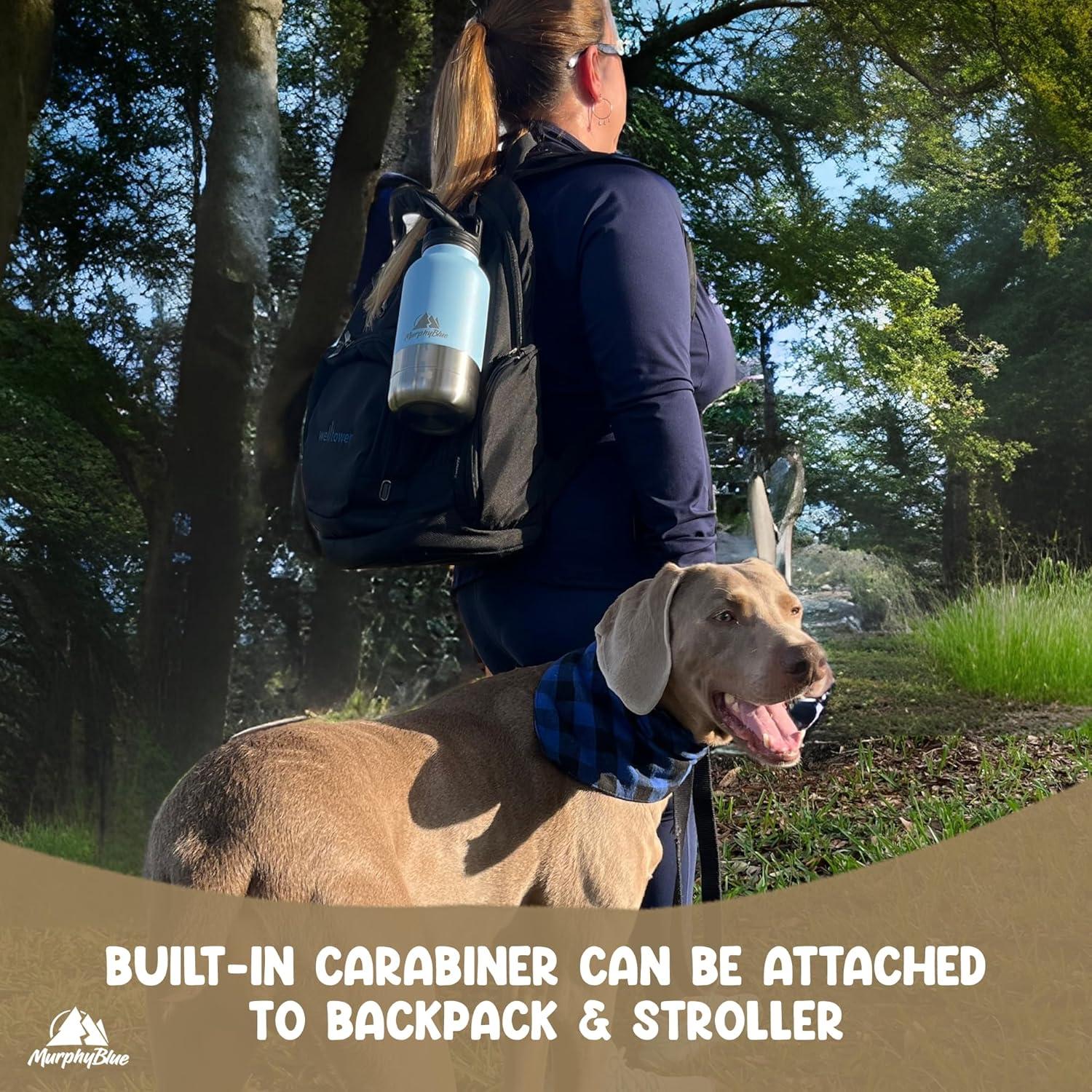 Botella de Agua para Perros MurphyBlue 0.95 L Acero Inoxidable