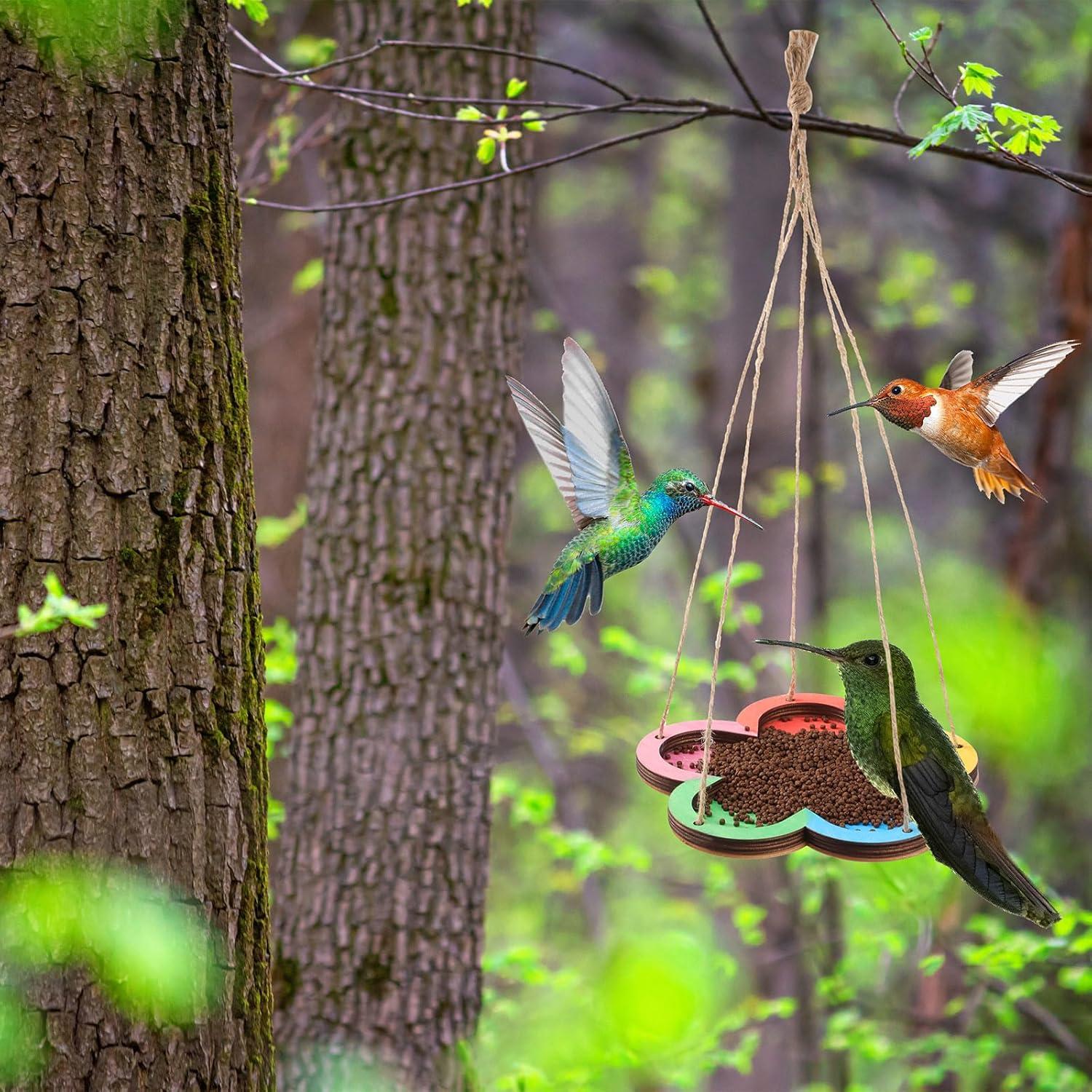 Kit de Manualidades Comedero para Aves DoubleFill 24 Piezas