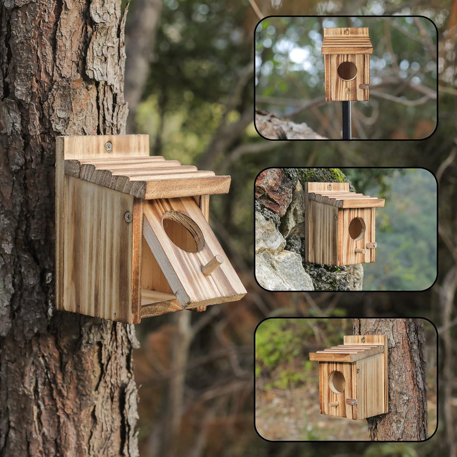 Casa de Colibrí NATUREYLWL de Madera para Aves Pequeñas