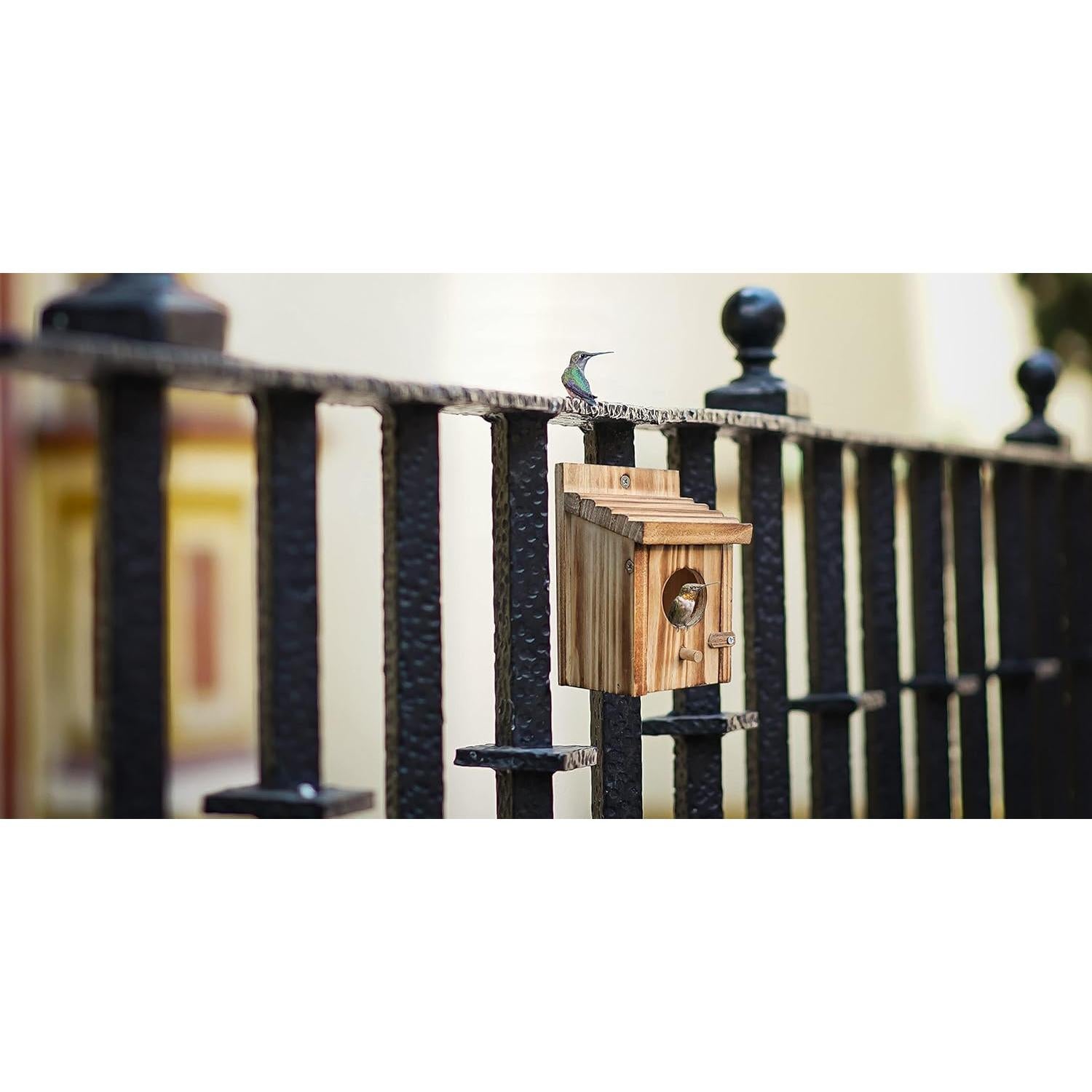 Casa de Colibrí NATUREYLWL de Madera para Aves Pequeñas