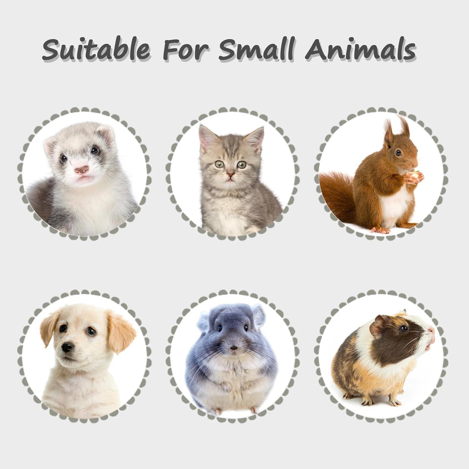 Botella de Agua Sin Goteo LOS ANDES 355ml Naranja para Pequeños Animales