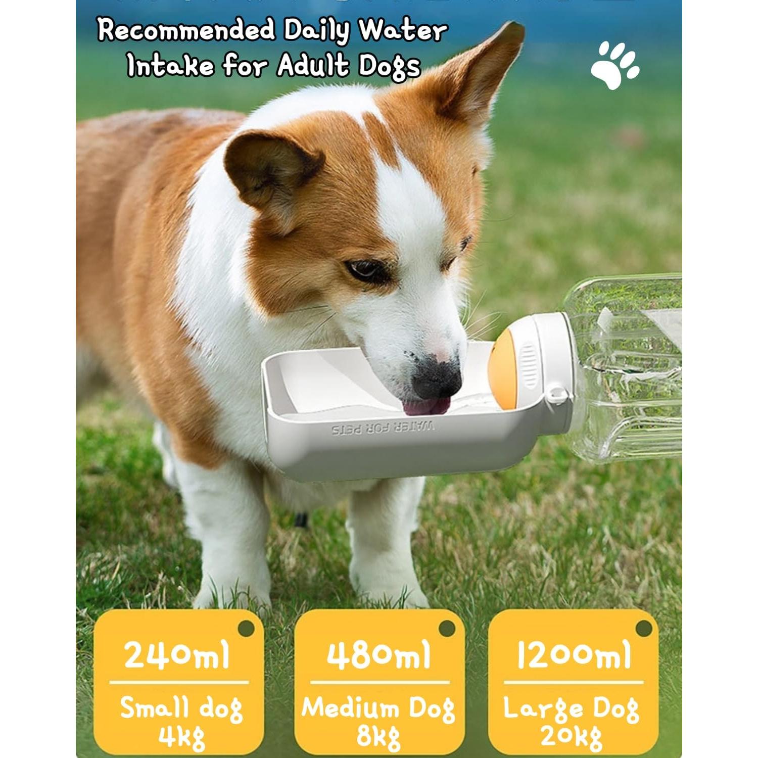 Botella de Agua y Tazón 2 en 1 para Perros TianfuSpanda 1.04L