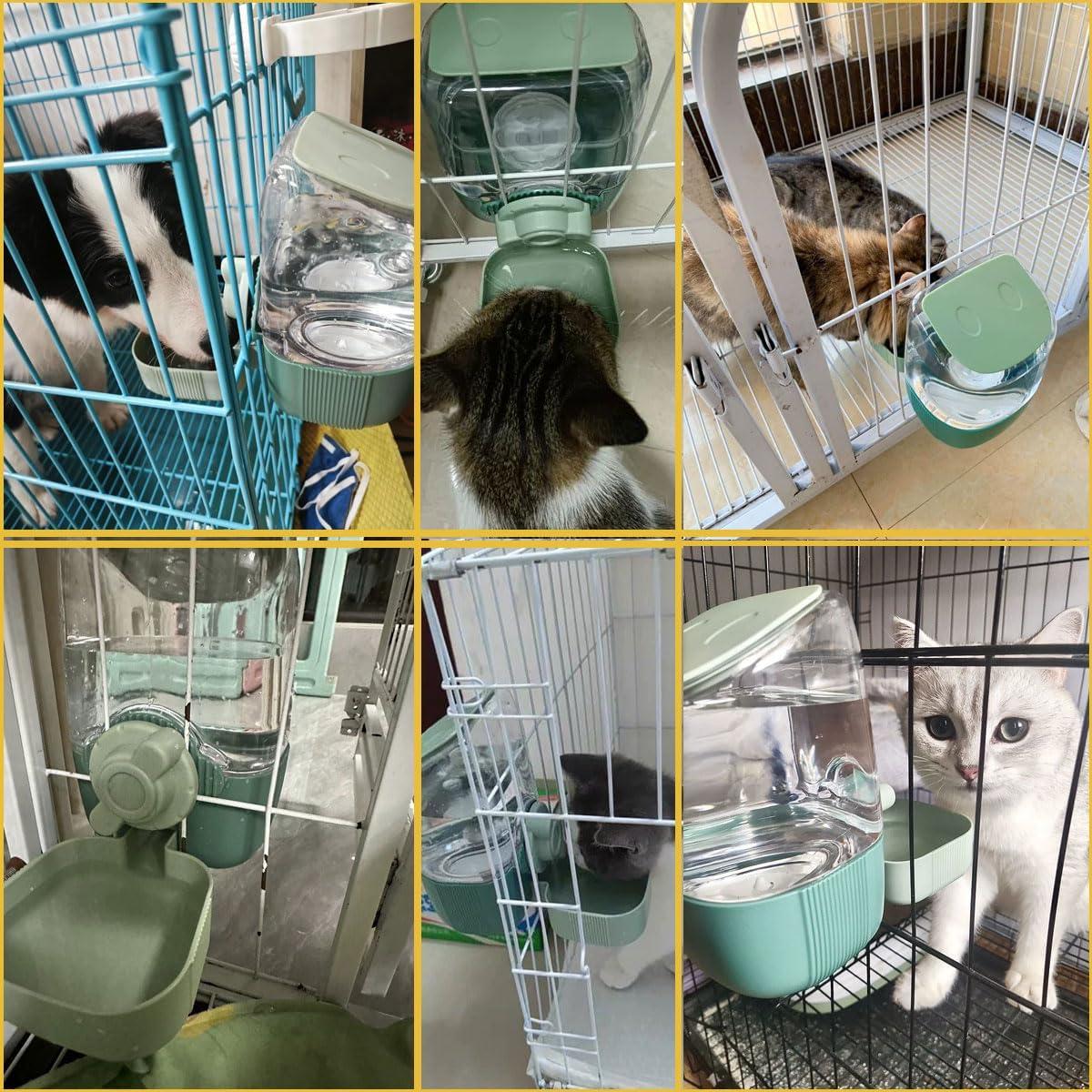 Dispensador de Agua Automático Gonpabuly 1L para Mascotas