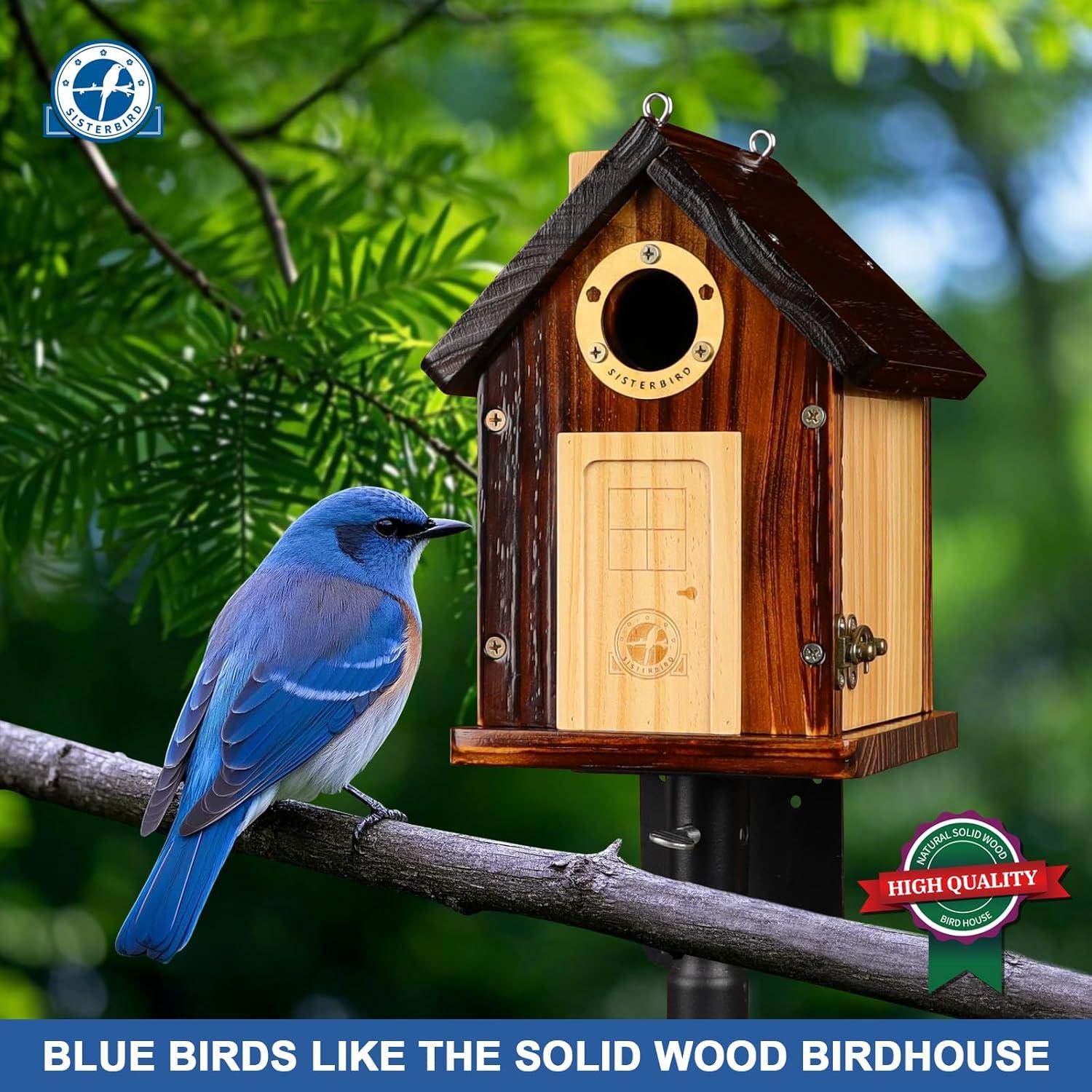 Casa de Aves SISTERBIRD de Madera para Exterior 24cm