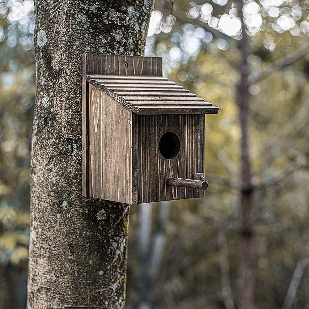Casa para Aves de Madera NATUREYLWL 15x15x21.8cm Exterior