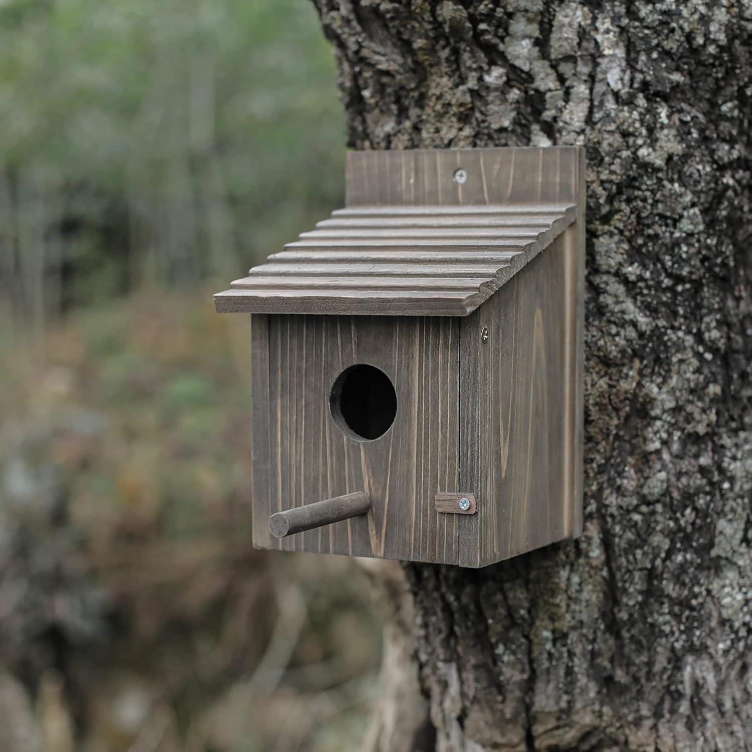 Casa para Aves de Madera NATUREYLWL 15x15x21.8cm Exterior
