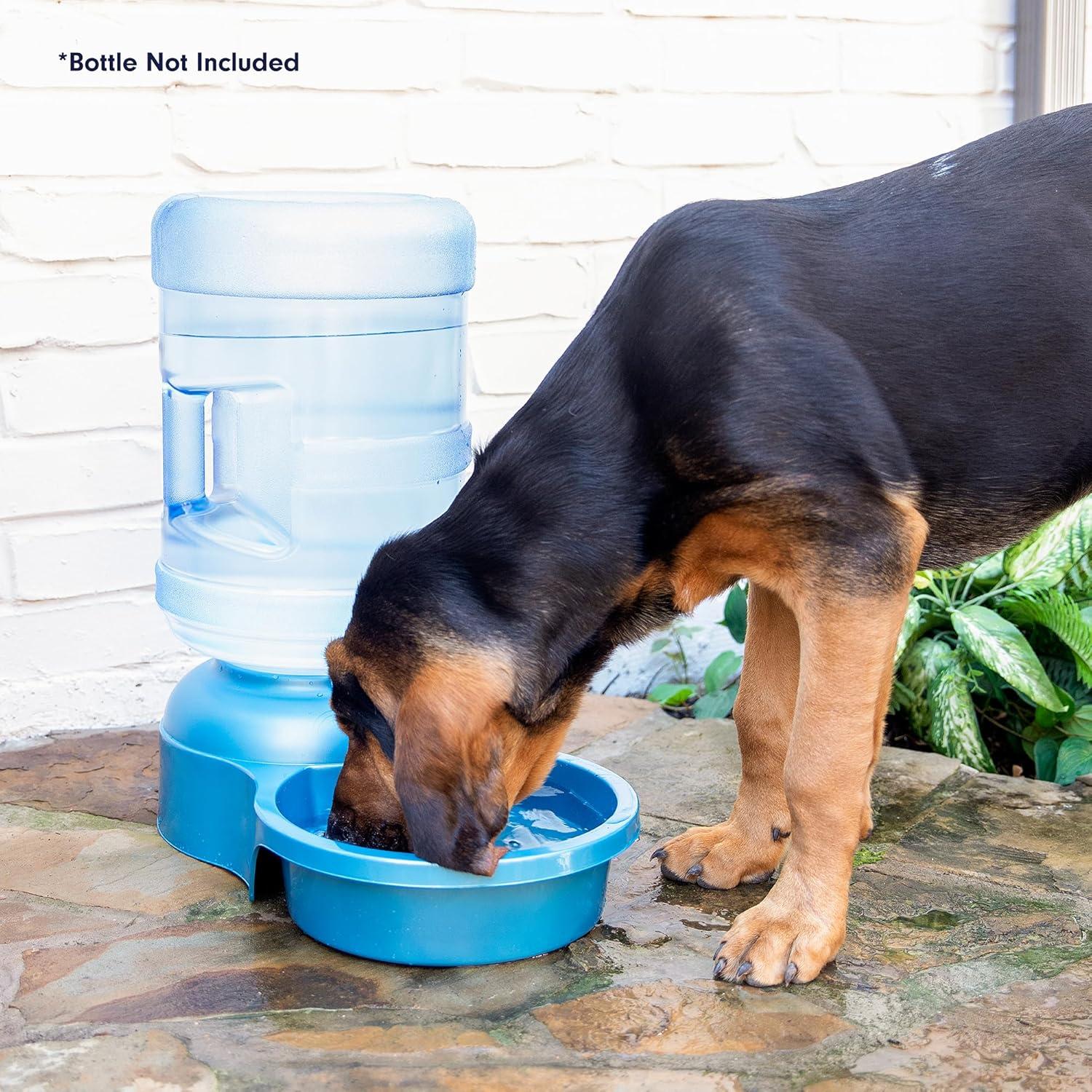 Tazón de Agua Grande Azul Petmate 3.4L para Mascotas