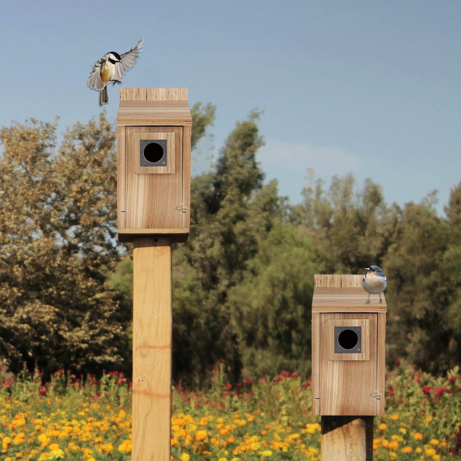 Casa para Aves de Madera CARTMAN 55.88x33.99cm con Acero Inoxidable