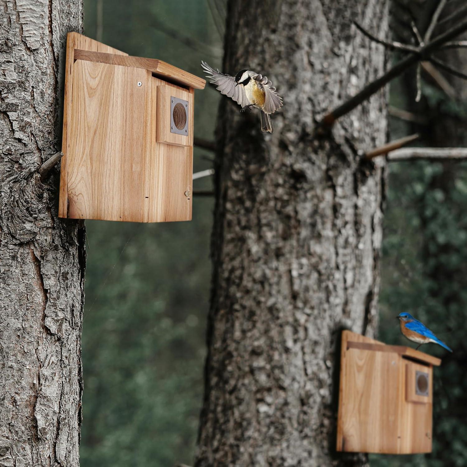 Casa para Aves de Madera CARTMAN 55.88x33.99cm con Acero Inoxidable