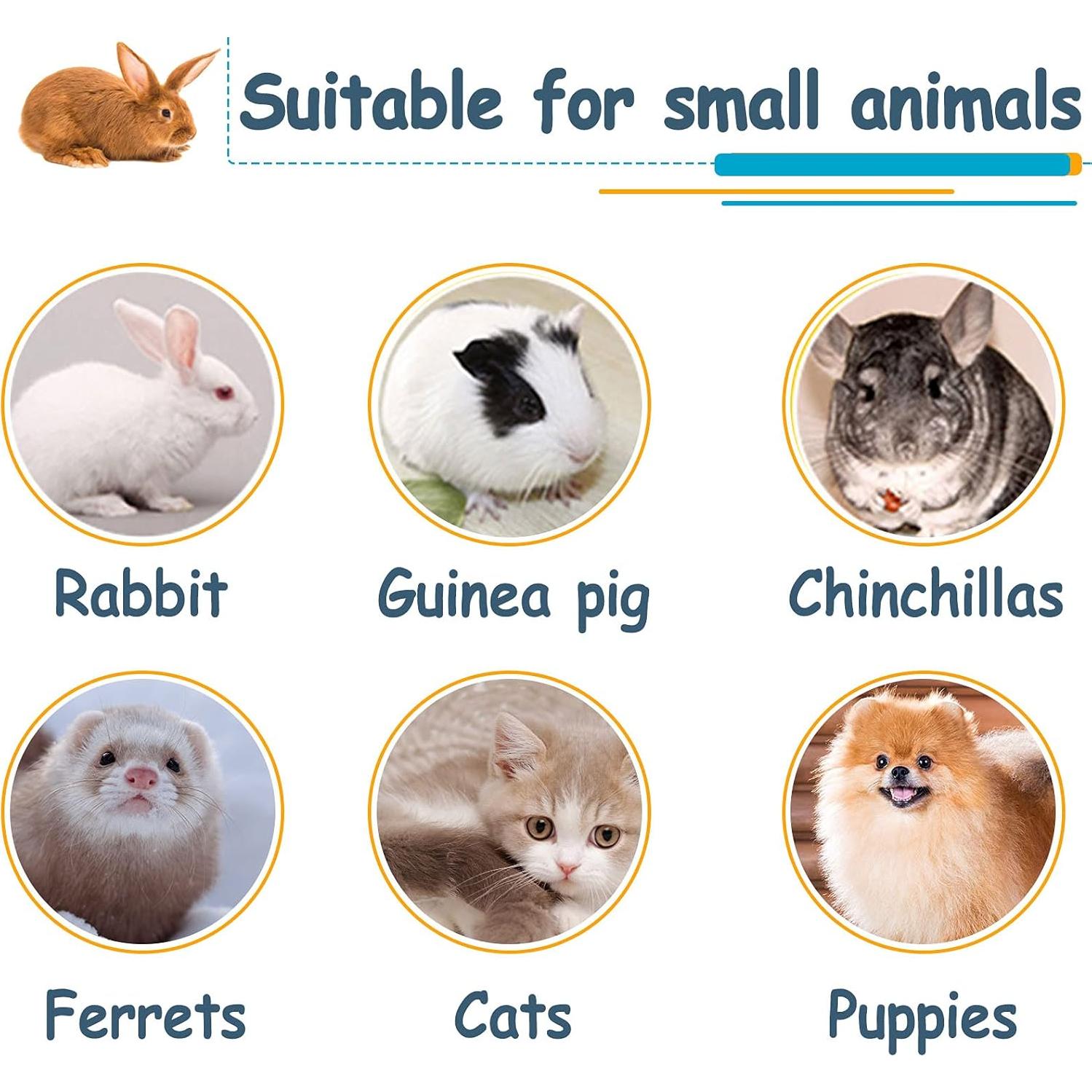 Set 3 en 1 Comedero y Bebedero para Conejos Hamiledyi