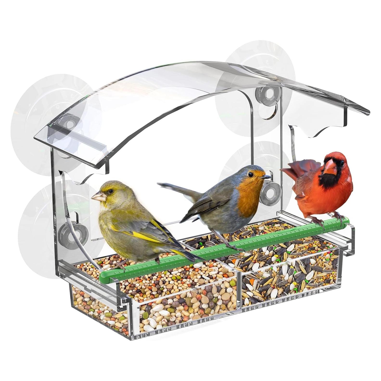 Comedero de Aves Transparente Cetie con Ventosas y Bandeja Removible