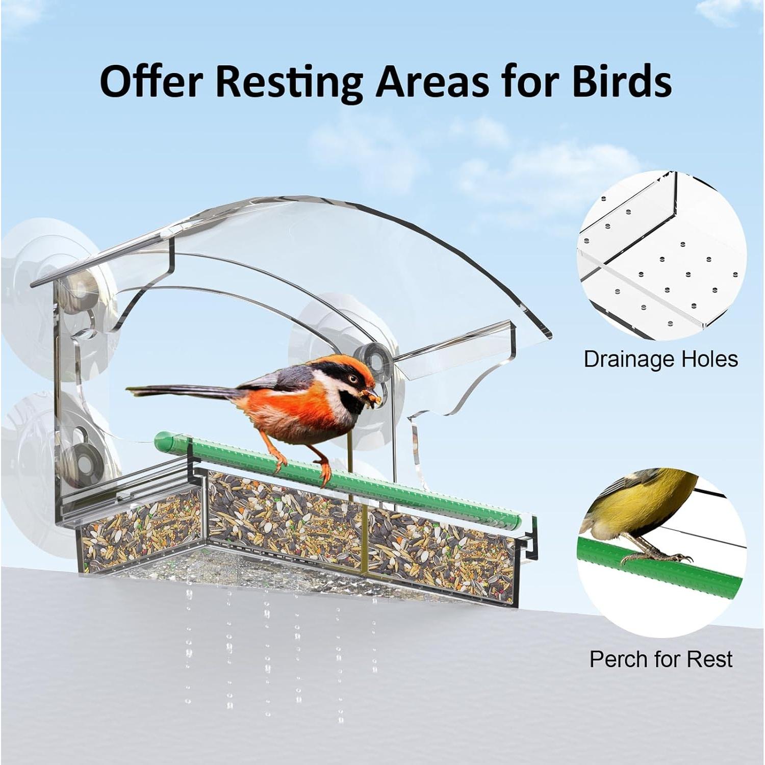 Comedero de Aves Transparente Cetie con Ventosas y Bandeja Removible