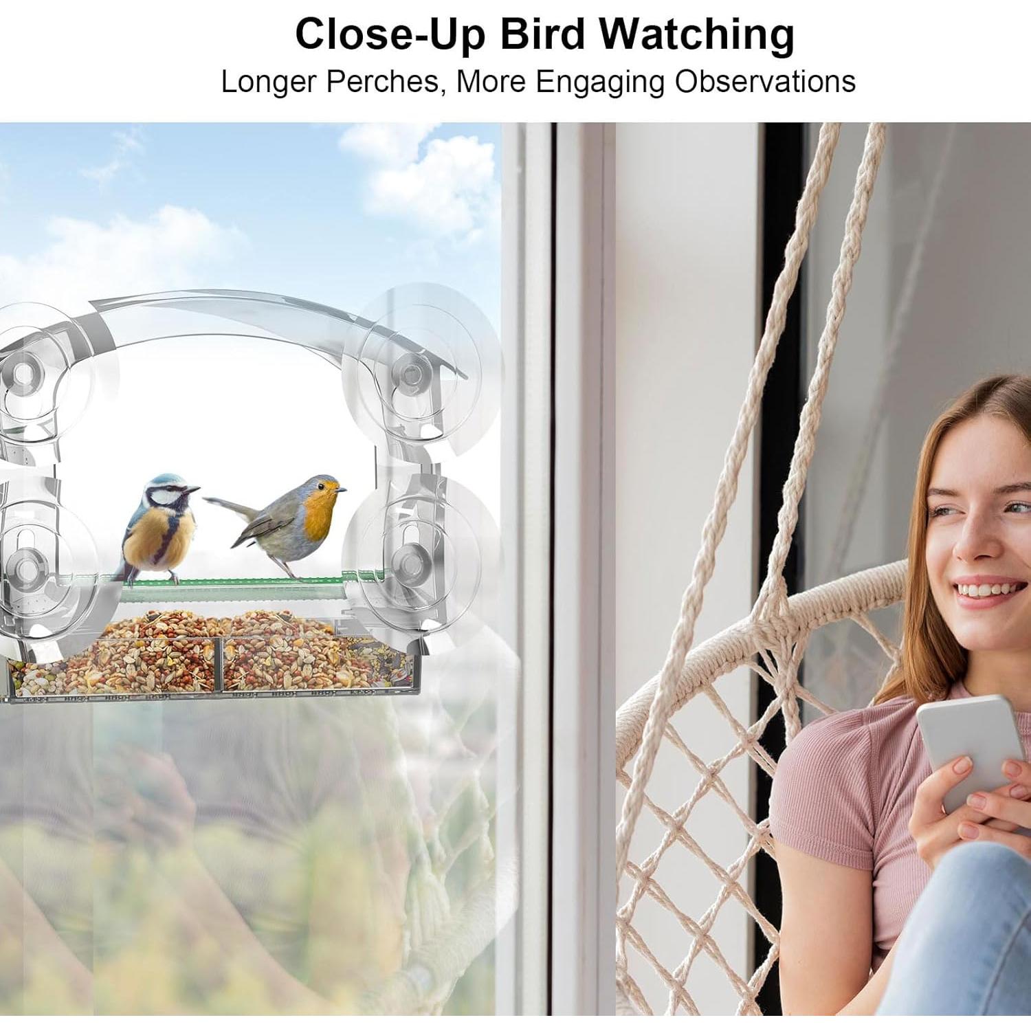 Comedero de Aves Transparente Cetie con Ventosas y Bandeja Removible