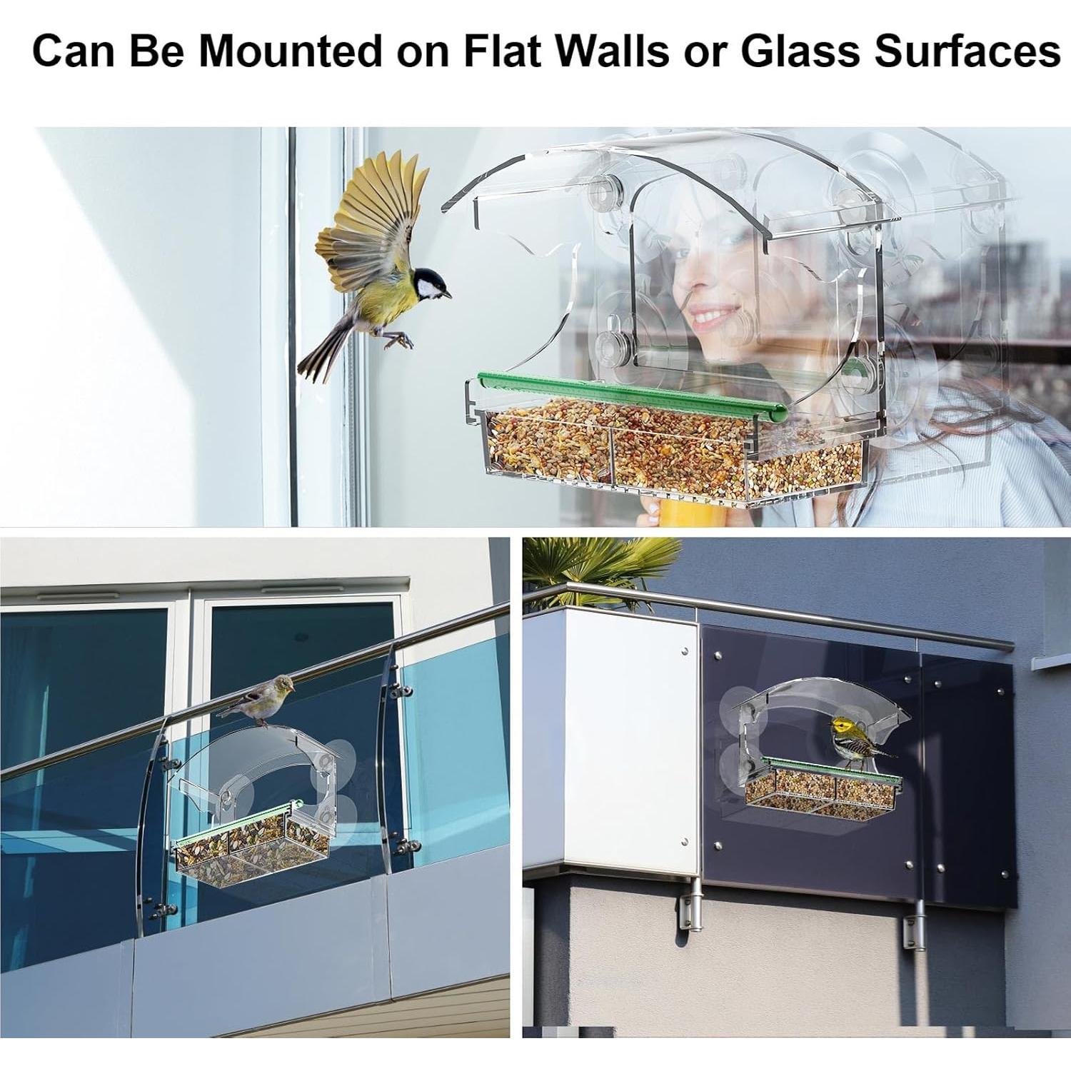 Comedero de Aves Transparente Cetie con Ventosas y Bandeja Removible