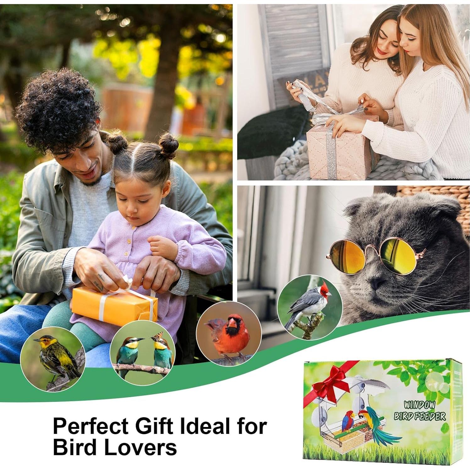 Comedero de Aves Transparente Cetie con Ventosas y Bandeja Removible