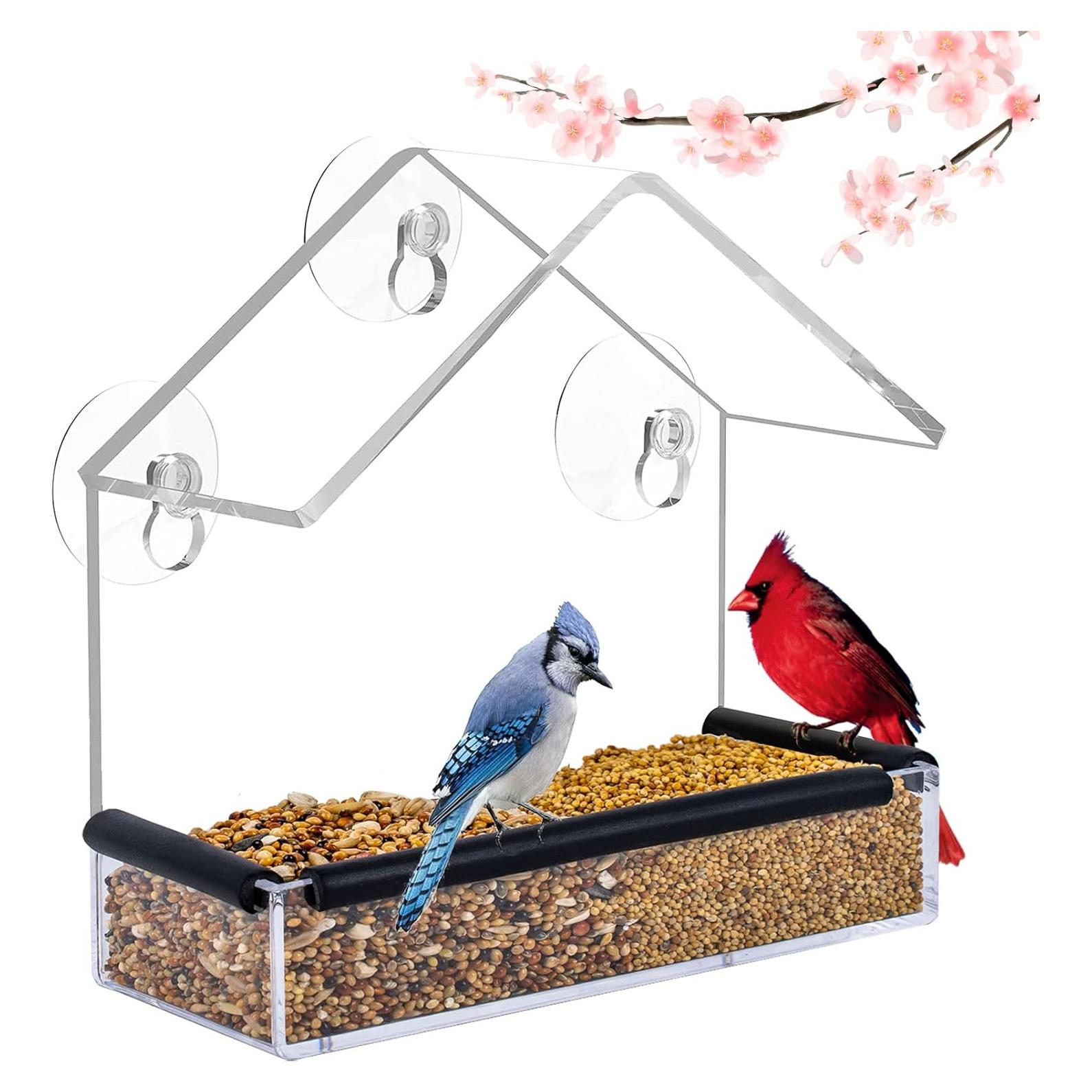 Comedero para Aves de Ventana HATILP 15x15 cm A Prueba de Ardillas