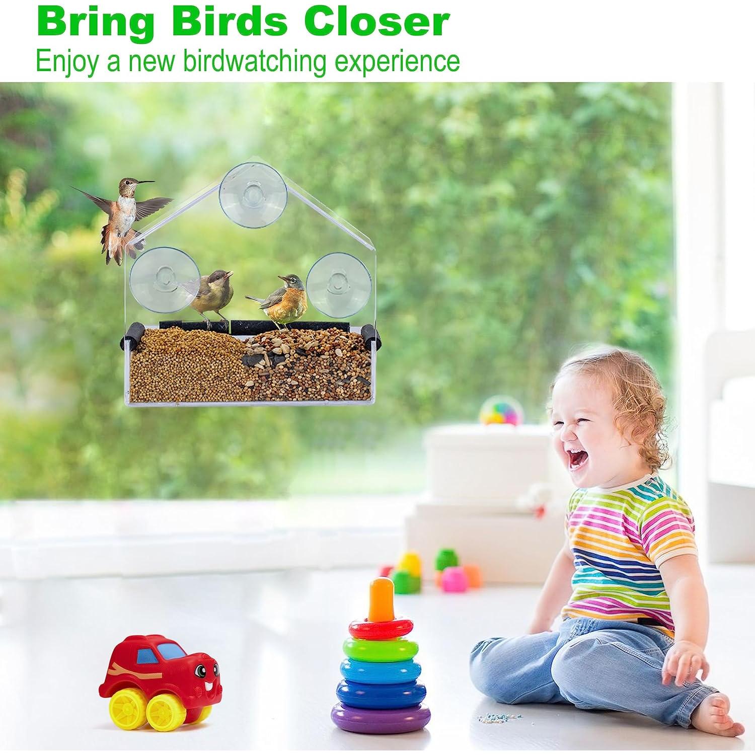 Comedero para Aves de Ventana HATILP 15x15 cm A Prueba de Ardillas