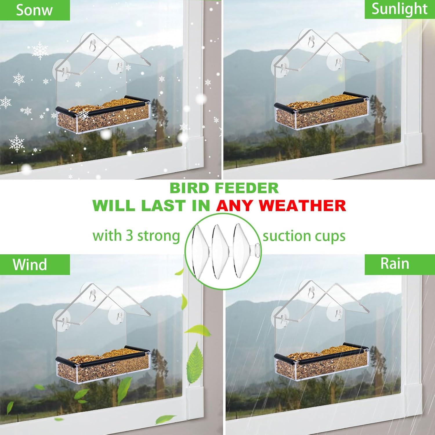 Comedero para Aves de Ventana HATILP 15x15 cm A Prueba de Ardillas