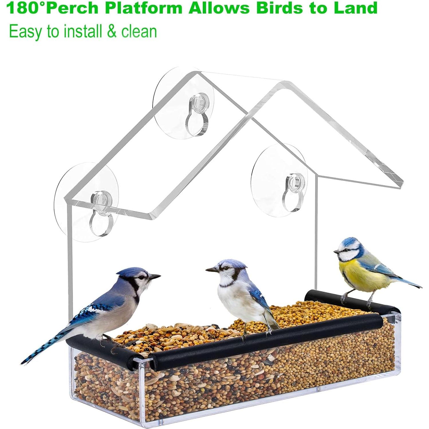 Comedero para Aves de Ventana HATILP 15x15 cm A Prueba de Ardillas