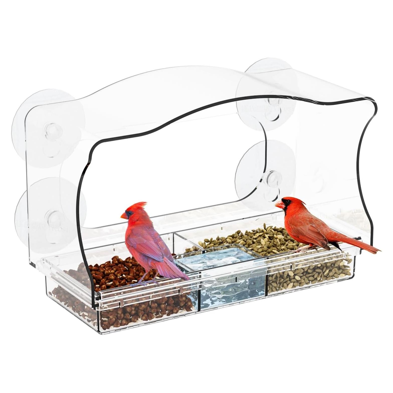 Comedero de Aves de Ventana Yieach con Ventosas Fuertes 24.9x10.9cm