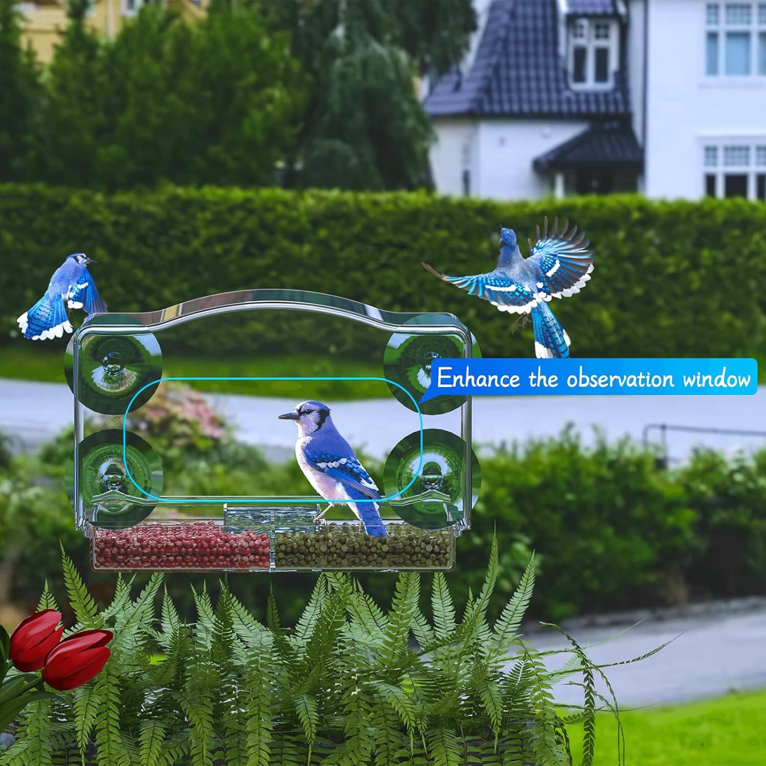 Comedero de Aves de Ventana Yieach con Ventosas Fuertes 24.9x10.9cm