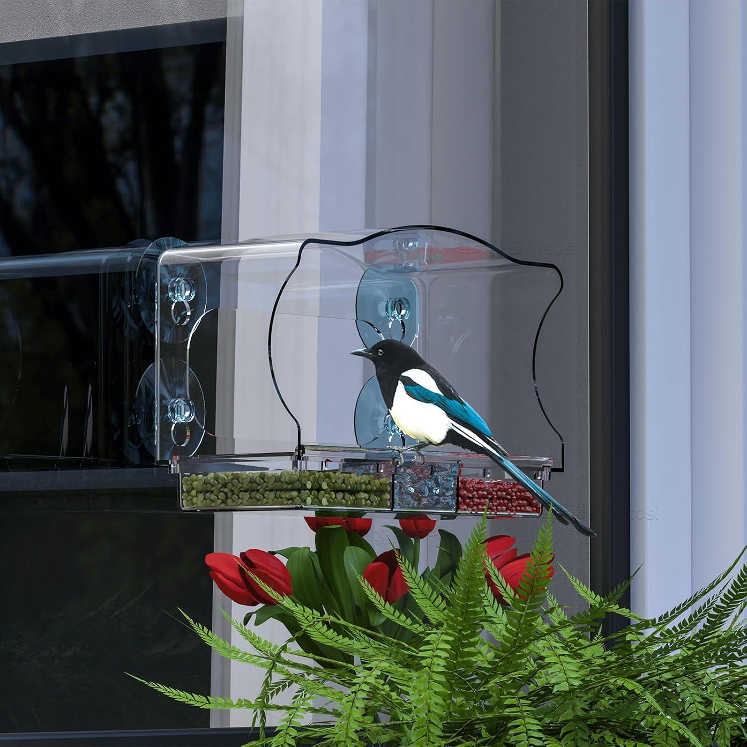 Comedero de Aves de Ventana Yieach con Ventosas Fuertes 24.9x10.9cm