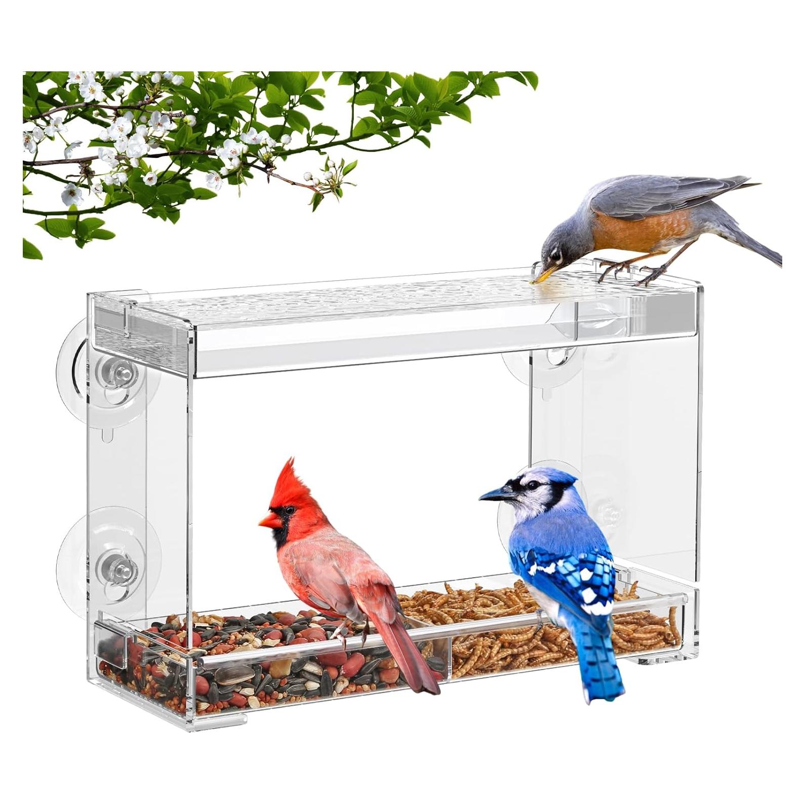 Comedero para Aves Trieez Transparente con Ventosas y Bandeja