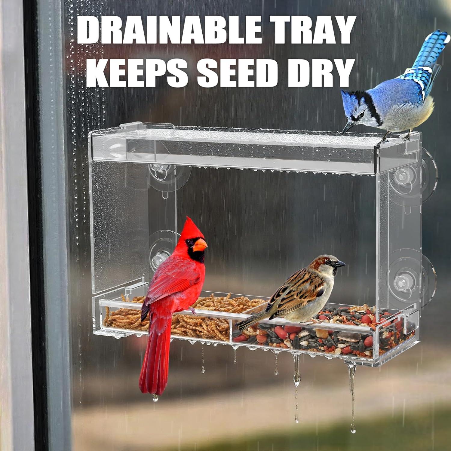 Comedero para Aves Trieez Transparente con Ventosas y Bandeja