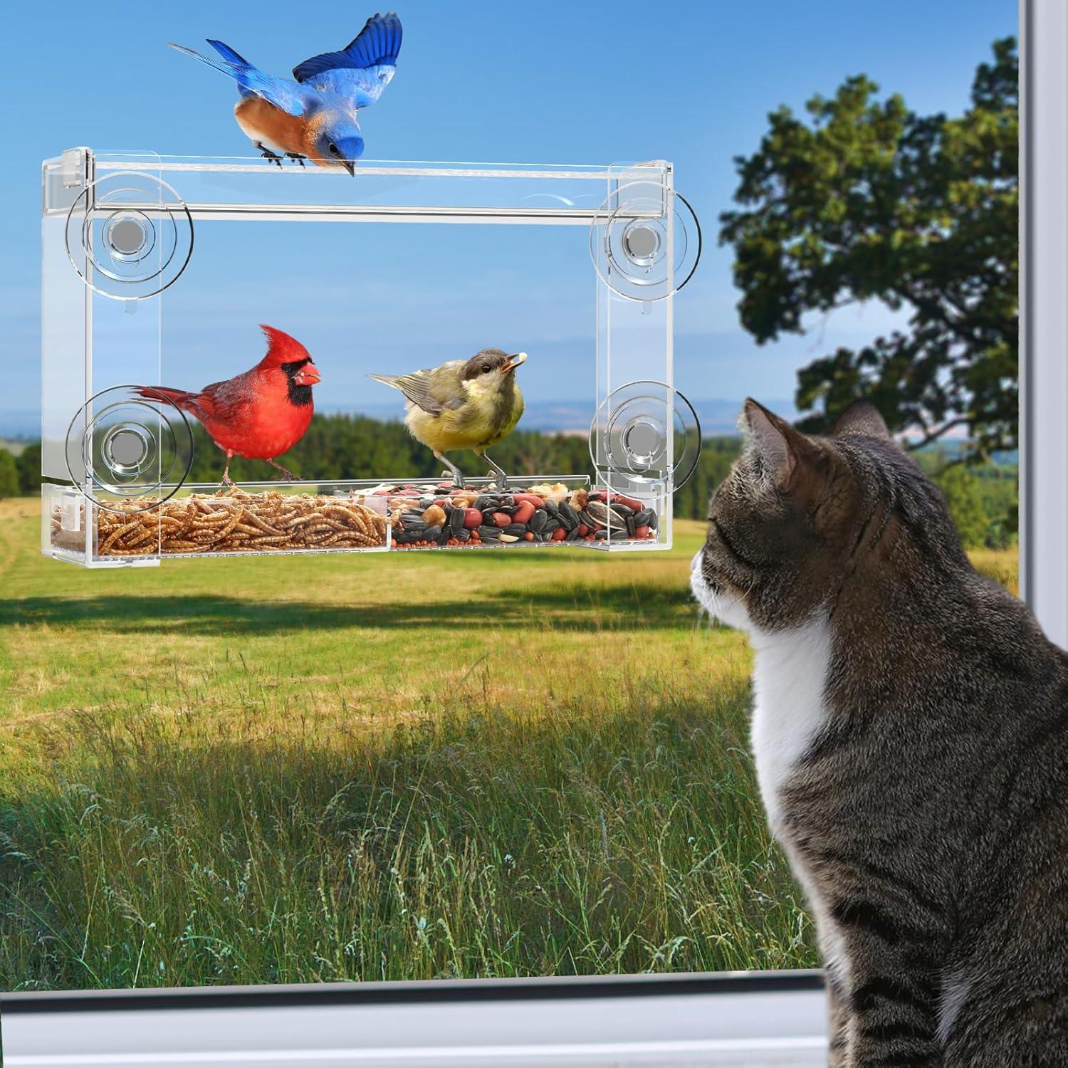 Comedero para Aves Trieez Transparente con Ventosas y Bandeja