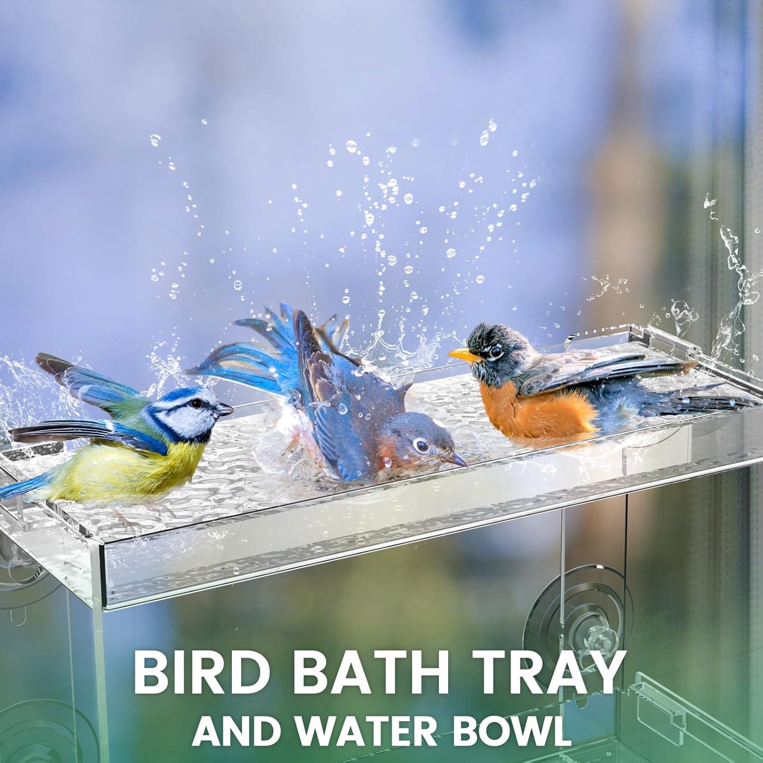 Comedero para Aves Trieez Transparente con Ventosas y Bandeja