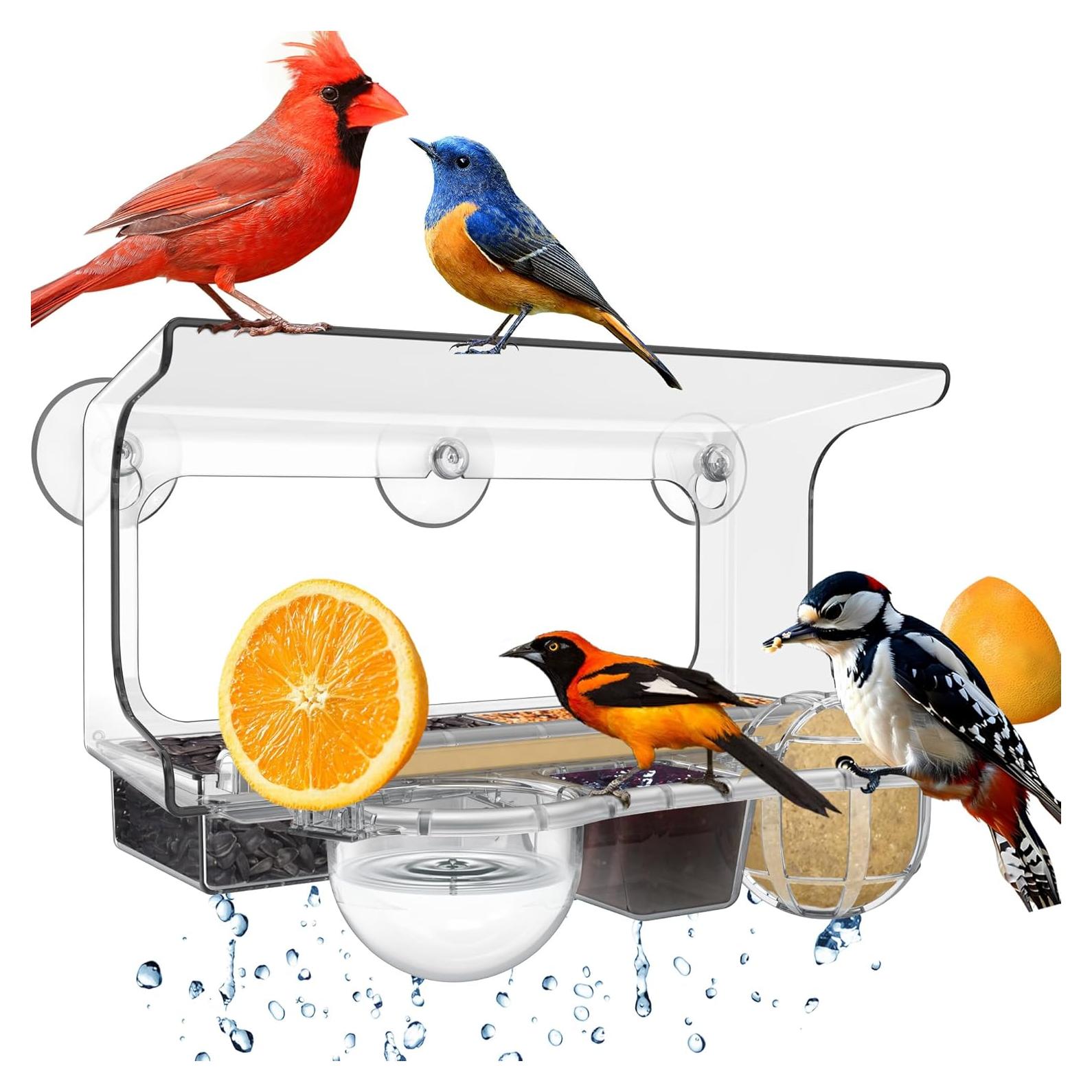Comedero para Aves de Ventana LUJII 6-en-1 Transparente