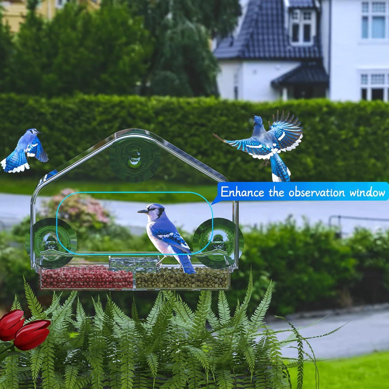 Comedero para Aves de Ventana Yieach con Ventosas Fuertes