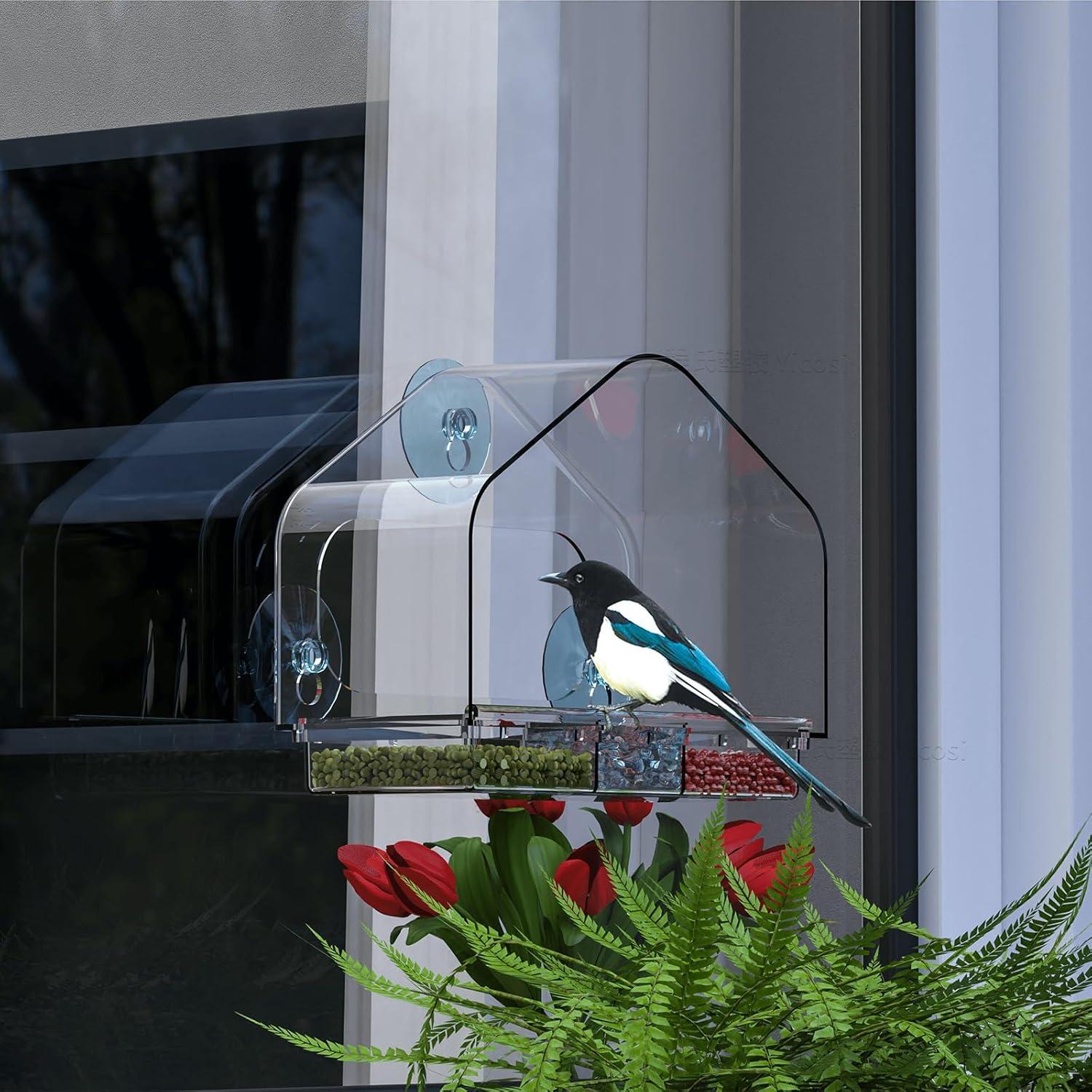 Comedero para Aves de Ventana Yieach con Ventosas Fuertes