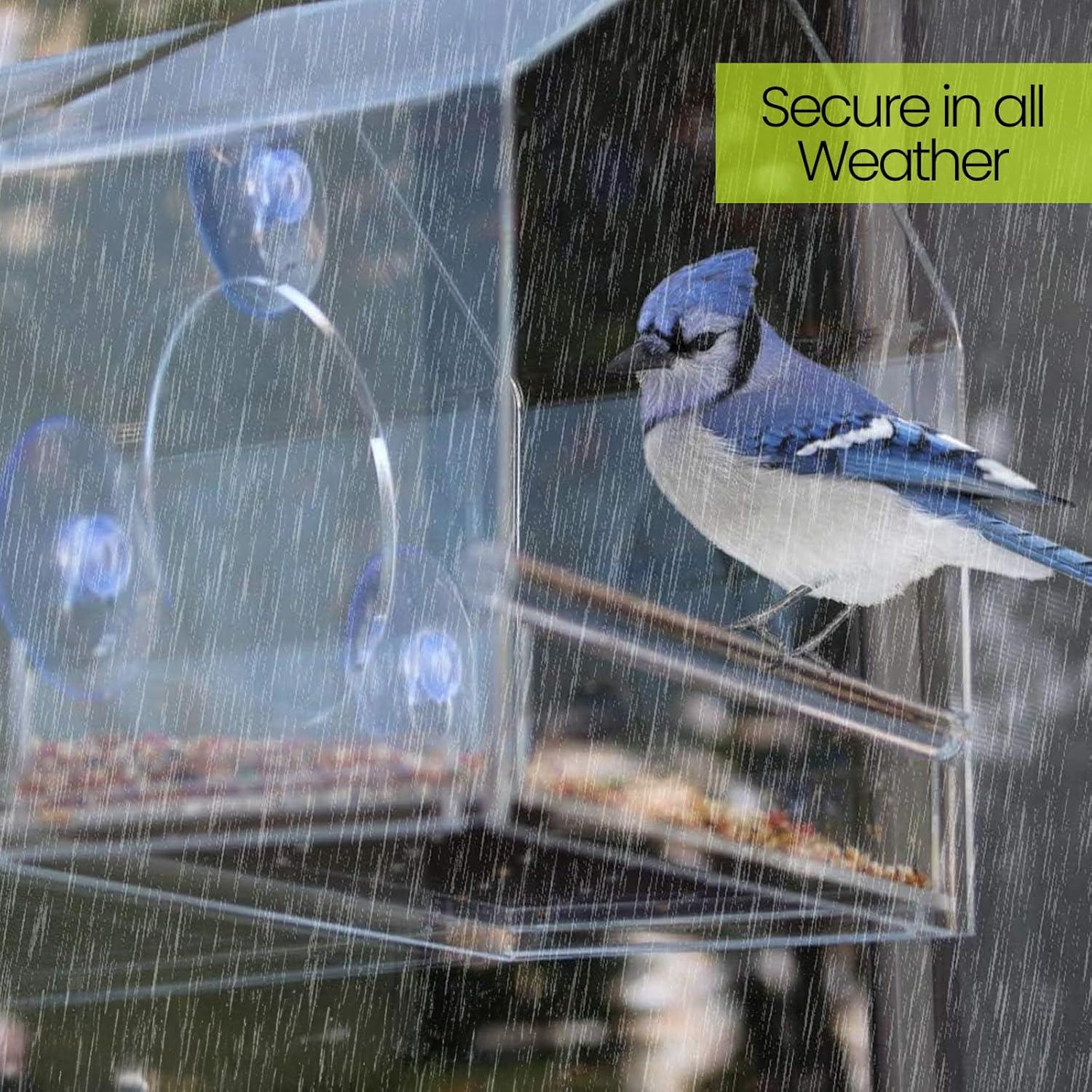 Comedero de Aves Acrílico Nature Gear para Ventana - Resistente y Fácil de Limpiar