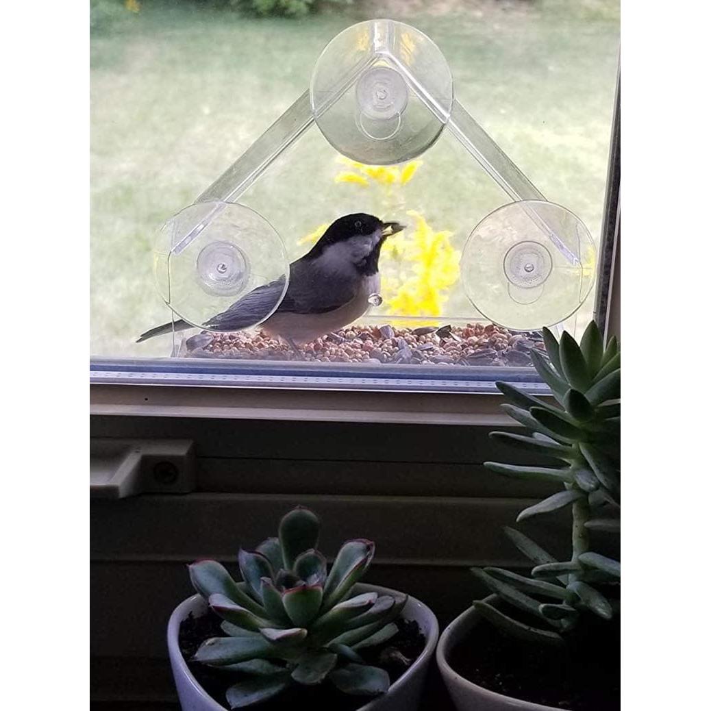 Comedero para Aves de Ventana WOWARE Transparente 16x16.5 cm