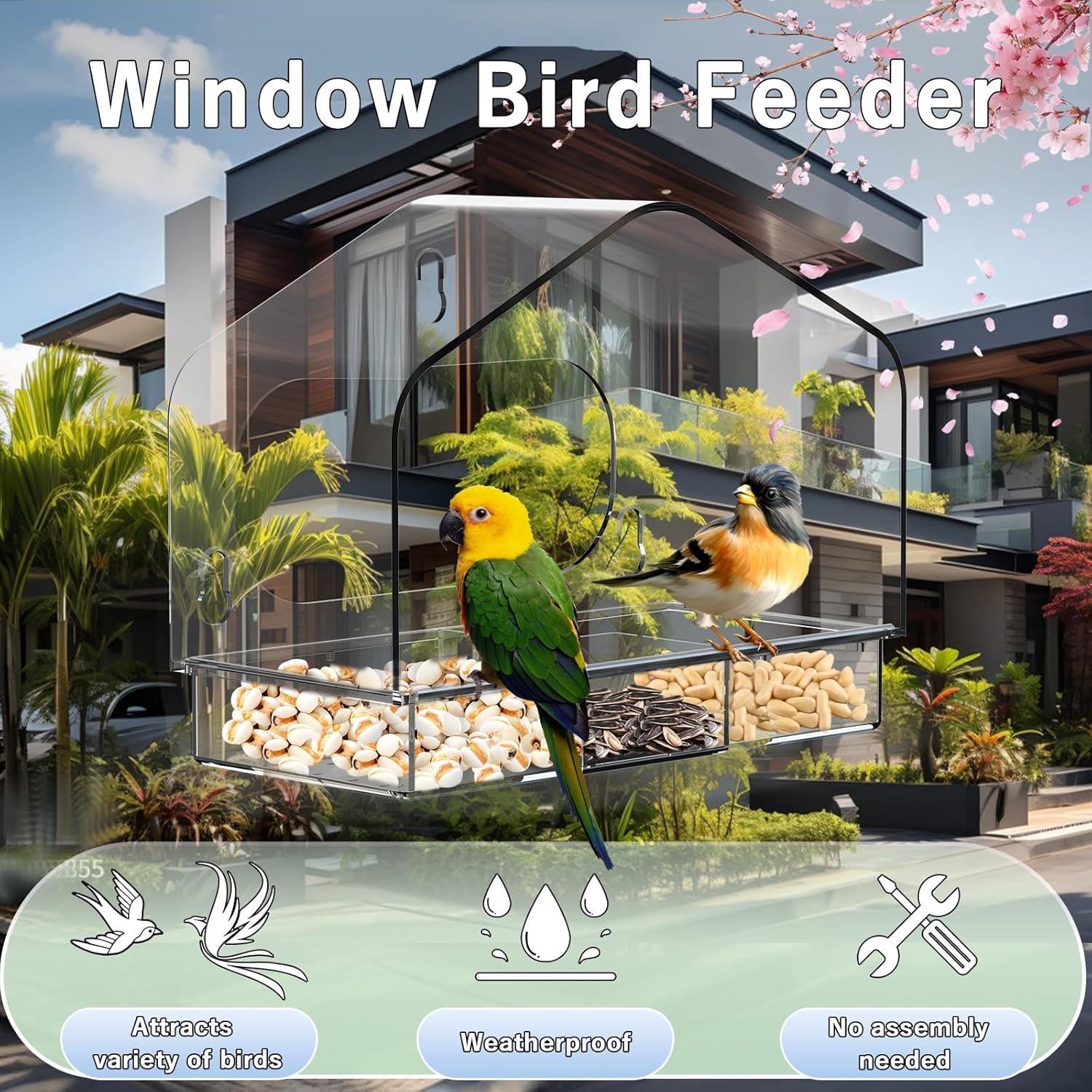 Comedero para Aves de Ventana Magiduck con Ventosas Fuertes