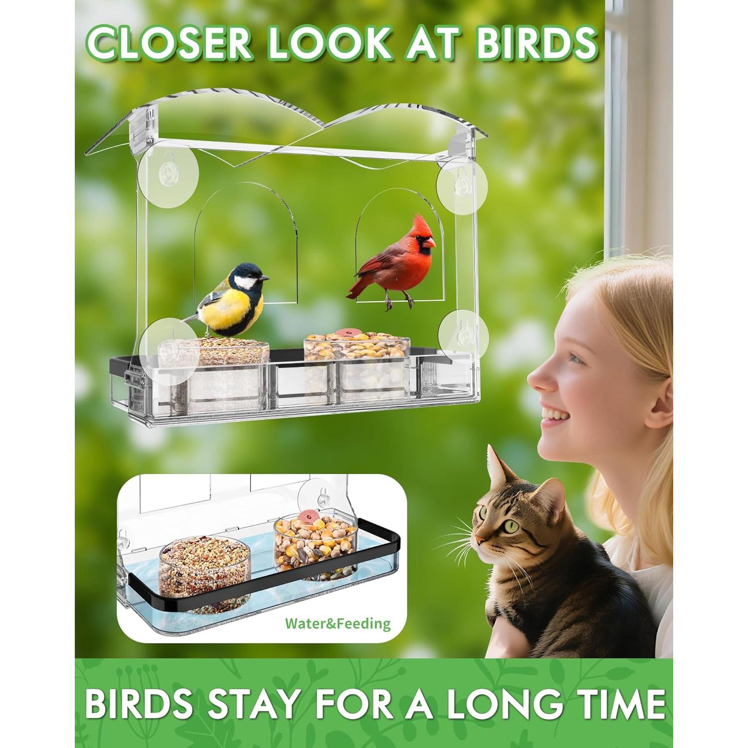 Comedero para Aves de Ventana COJOSQC Acrílico Transparente