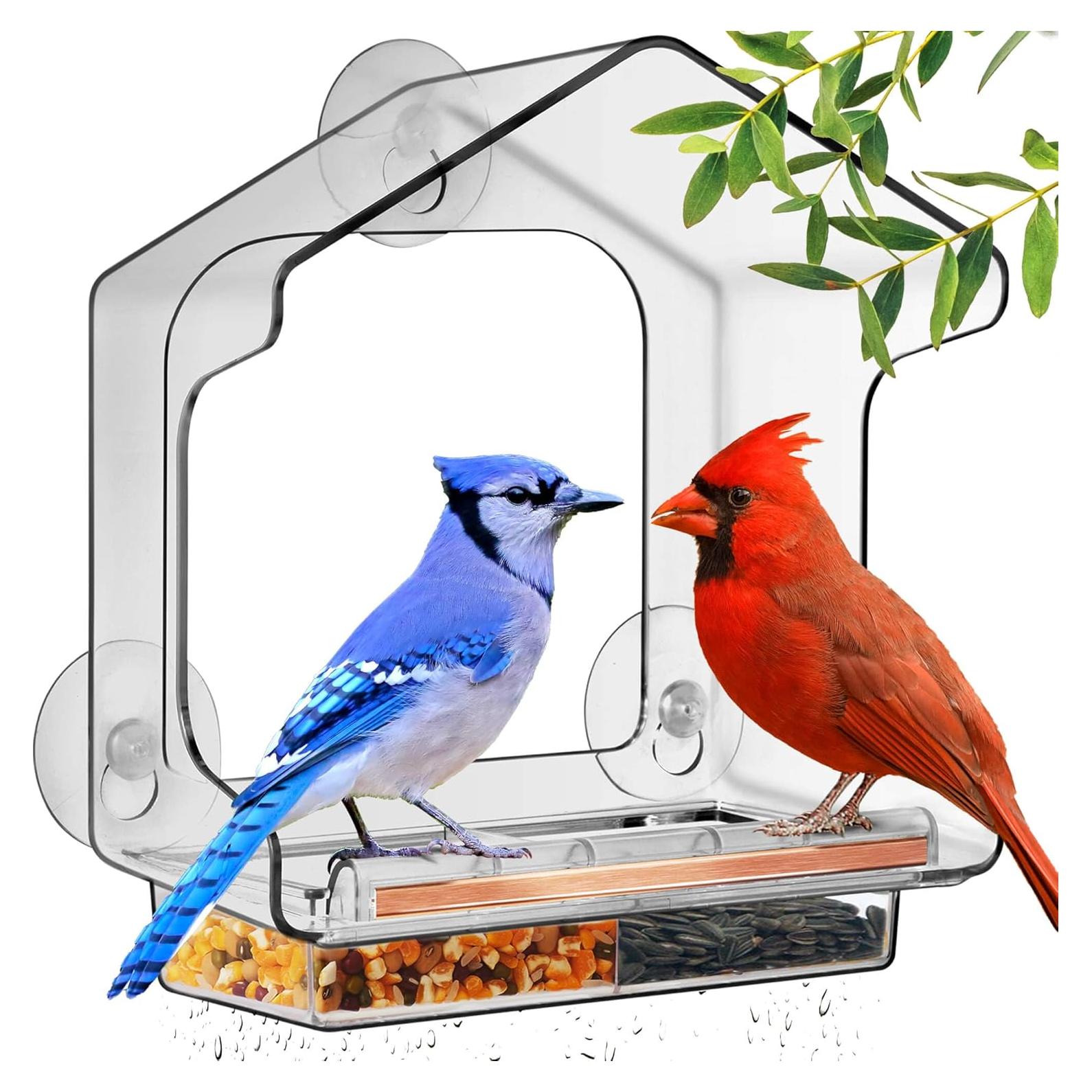 Comedero para Aves de Ventana LUJII Transparente 24.13x23.27cm