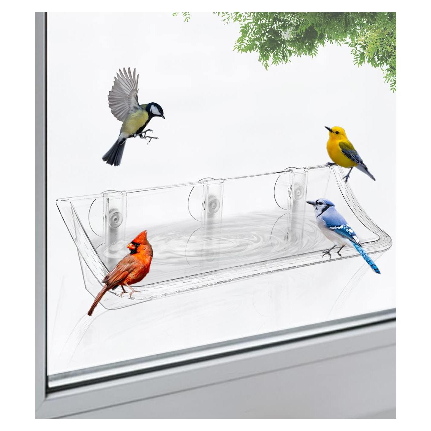 Comedero para Aves AnBaiMei Montado en Ventana 0.95L