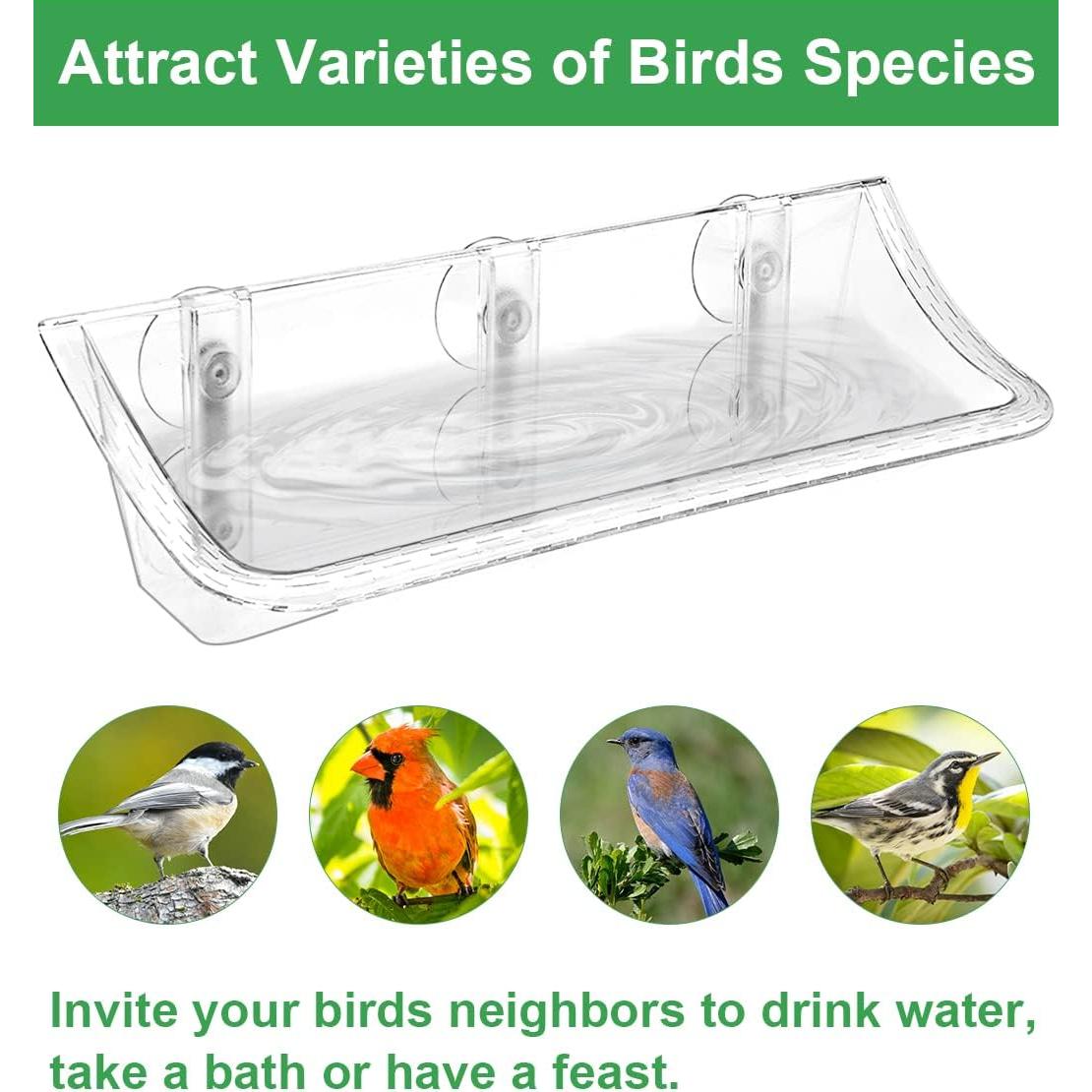 Comedero para Aves AnBaiMei Montado en Ventana 0.95L