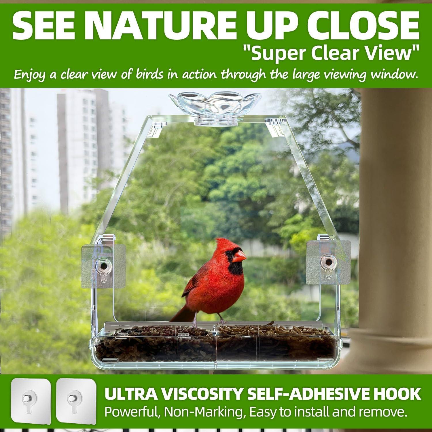 Comedero para Aves de Ventana WENMIXER 473ml Transparente