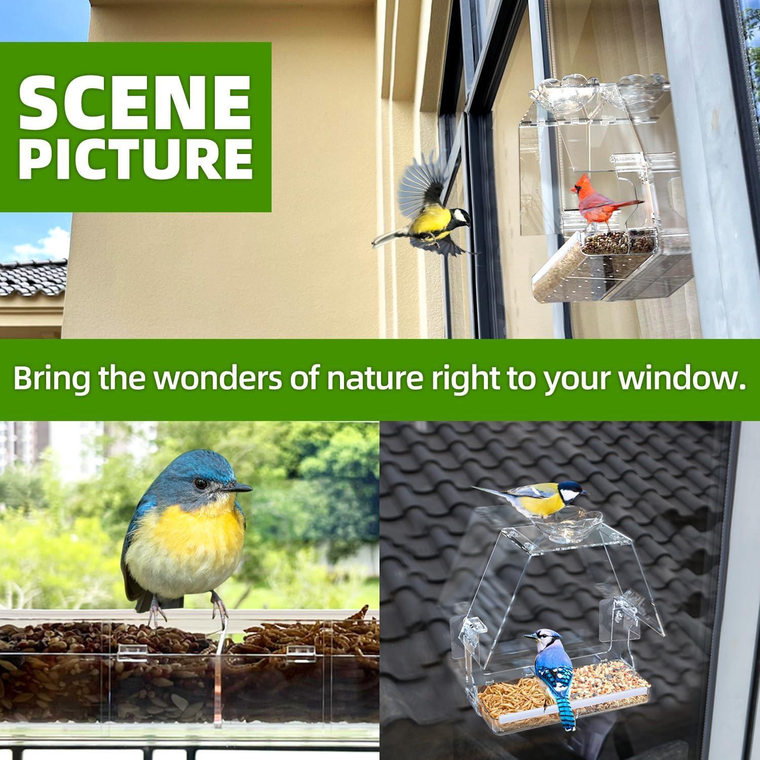 Comedero para Aves de Ventana WENMIXER 473ml Transparente