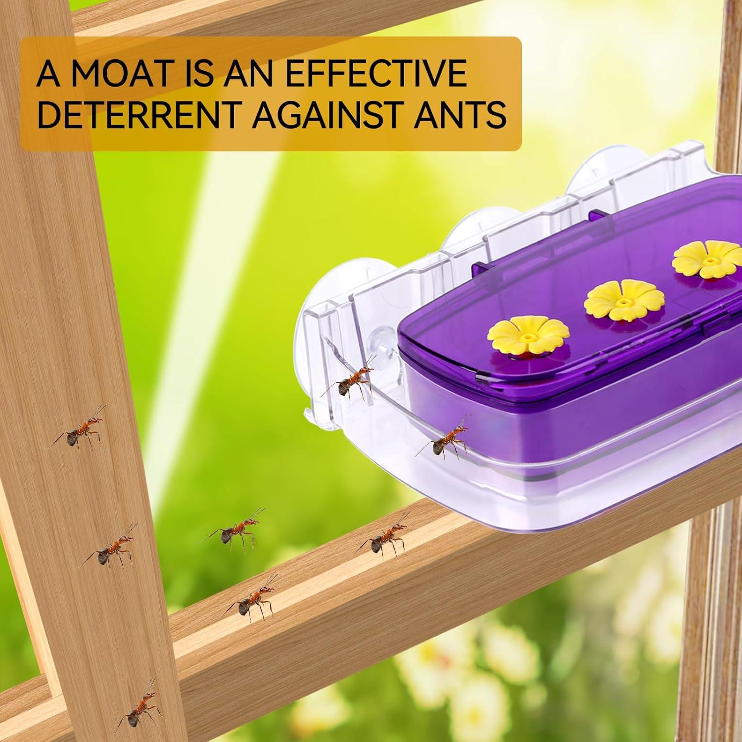 Comedero para Colibríes HCGADON Ventana 295ml Púrpura