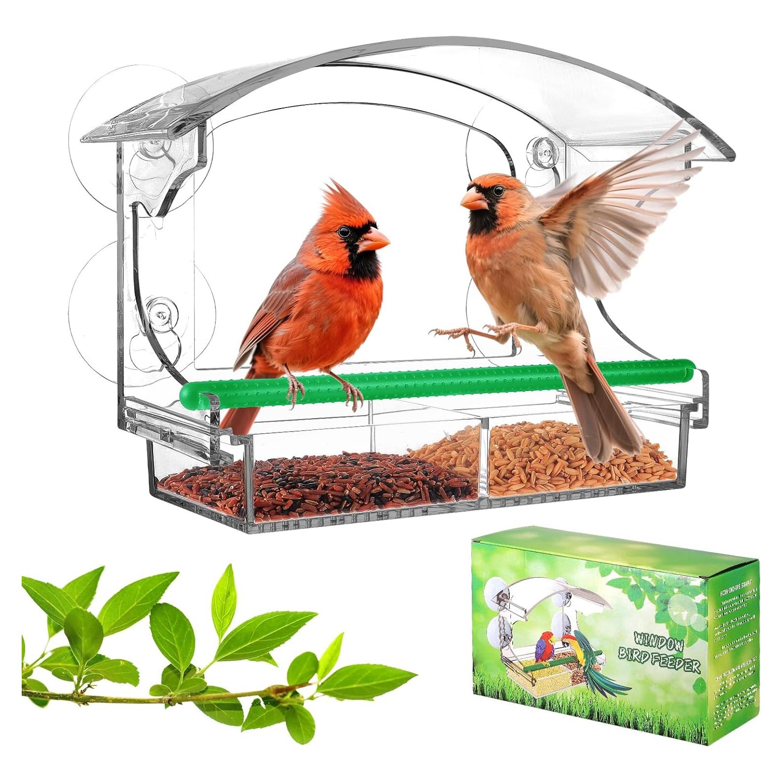 Comedero para Aves de Ventana OCR Transparente con Ventosas