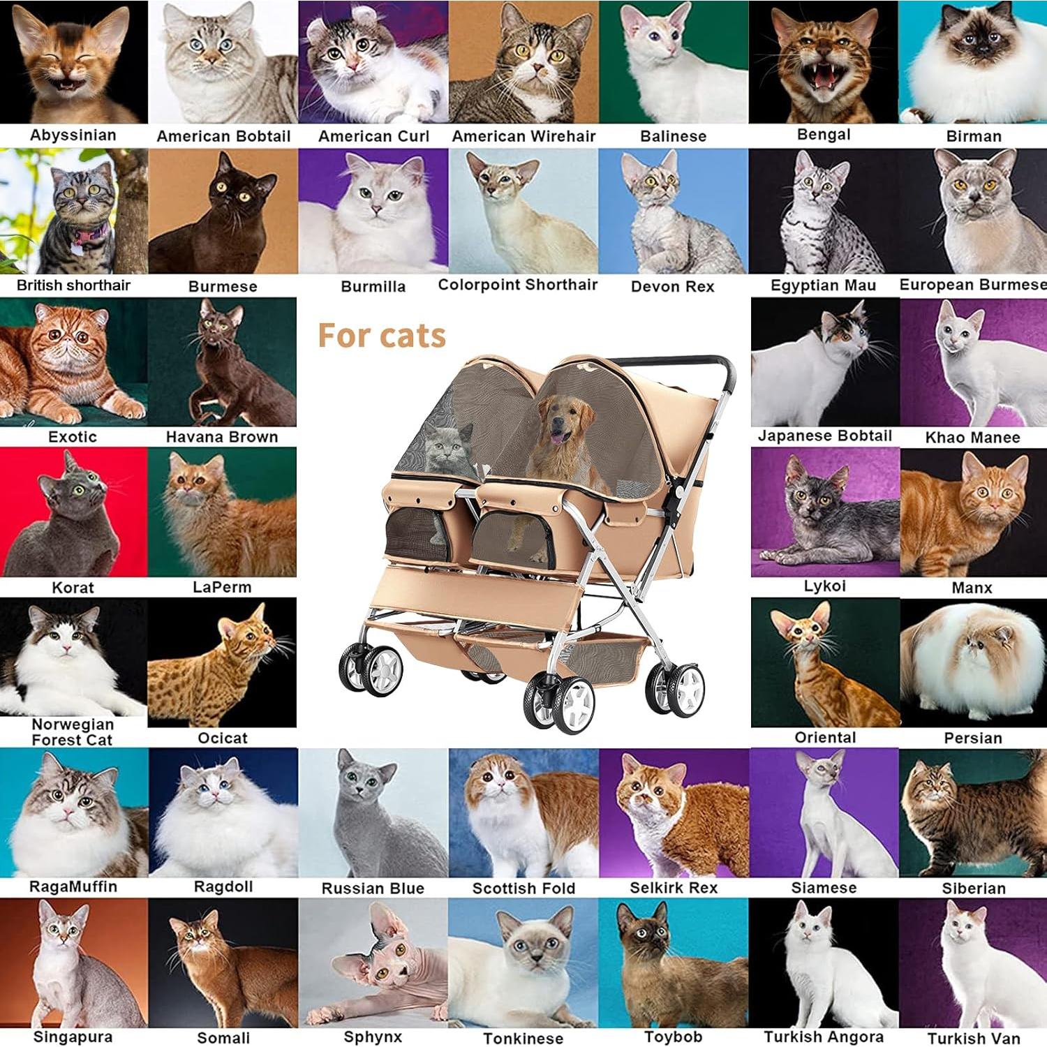 Carrito de Mascotas Doble LPOTIUS Plegable Beige 20 kg