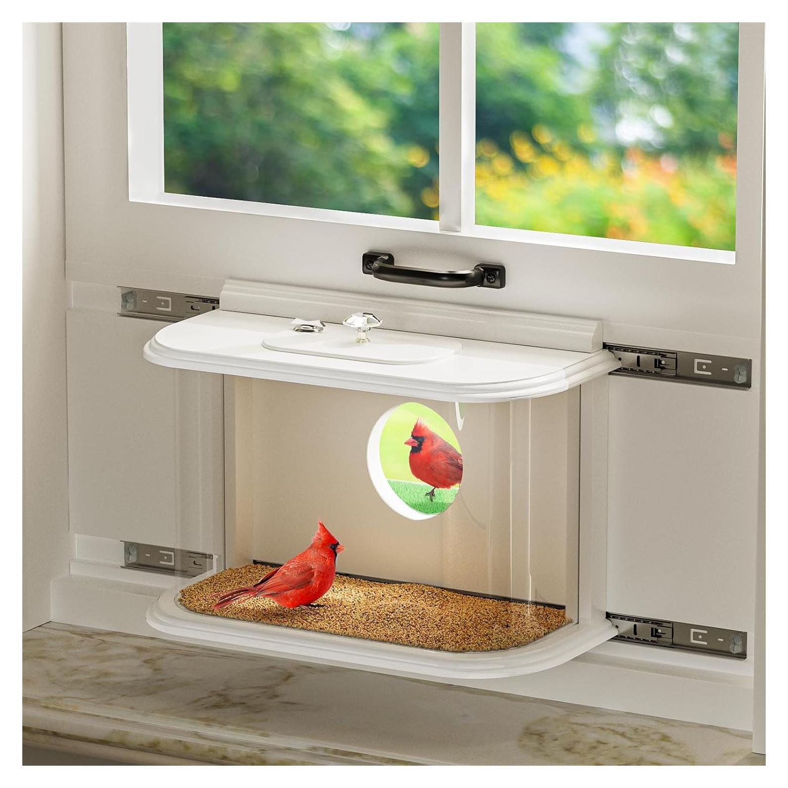 Comedero para Aves de Ventana XYADX 180° Fácil Instalación