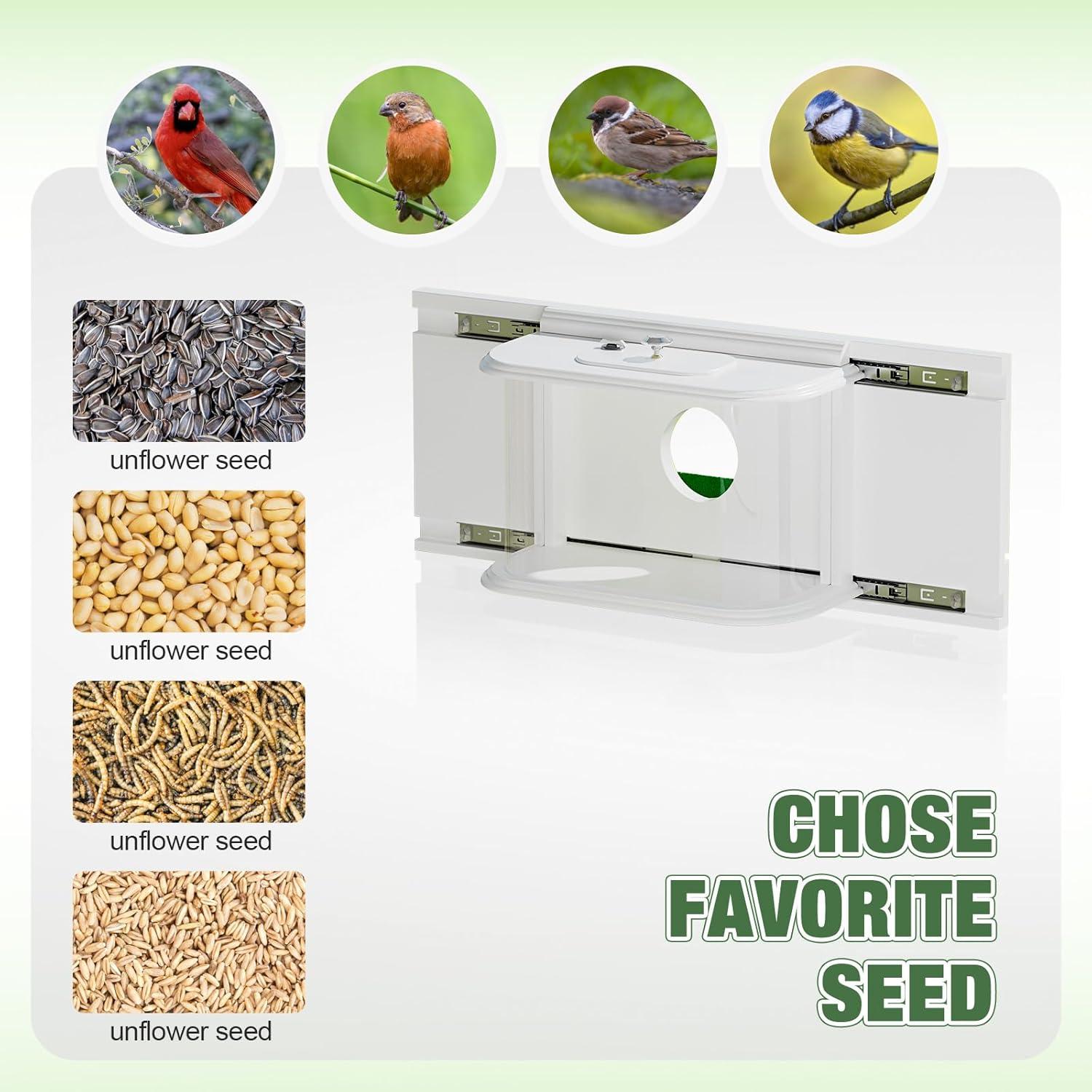 Comedero para Aves de Ventana XYADX 180° Fácil Instalación