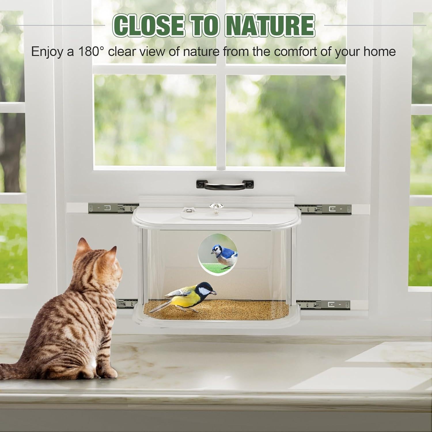 Comedero para Aves de Ventana XYADX 180° Fácil Instalación