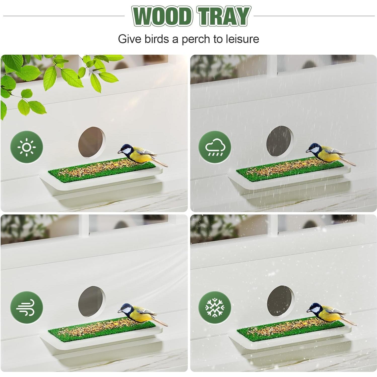 Comedero para Aves de Ventana XYADX 180° Fácil Instalación